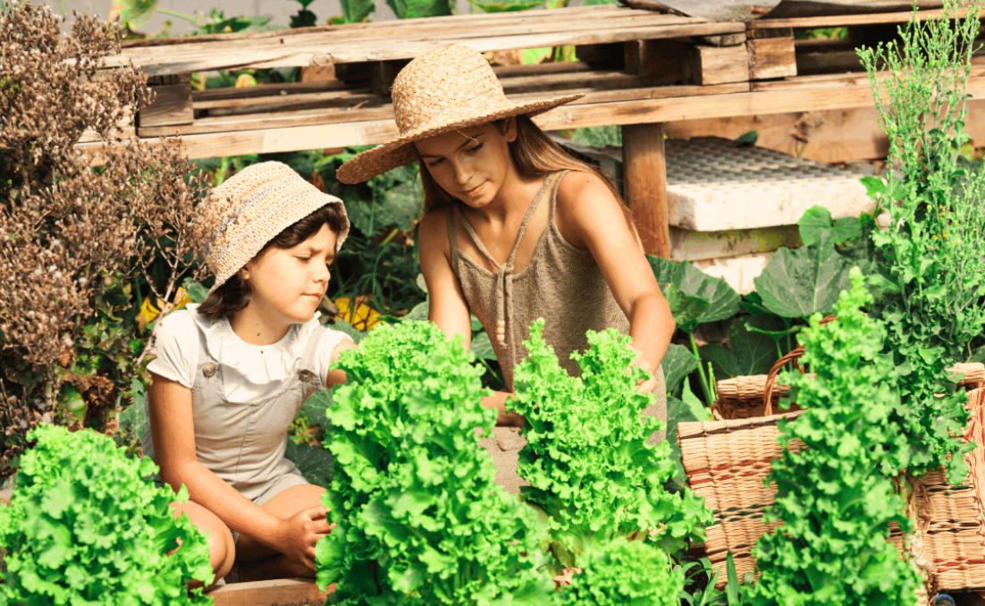 Experiência Ecológica para Crianças