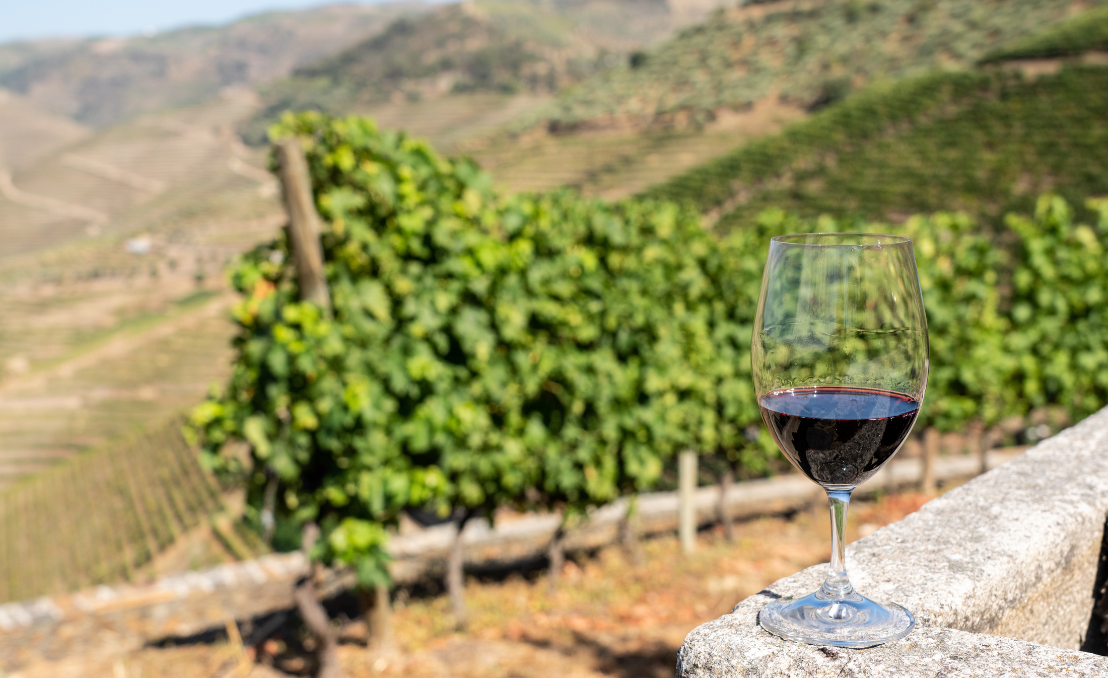 Copa de vino tinto con viñedo y paisaje rural al fondo