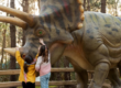 Children touching a dinosaur model at a themed park