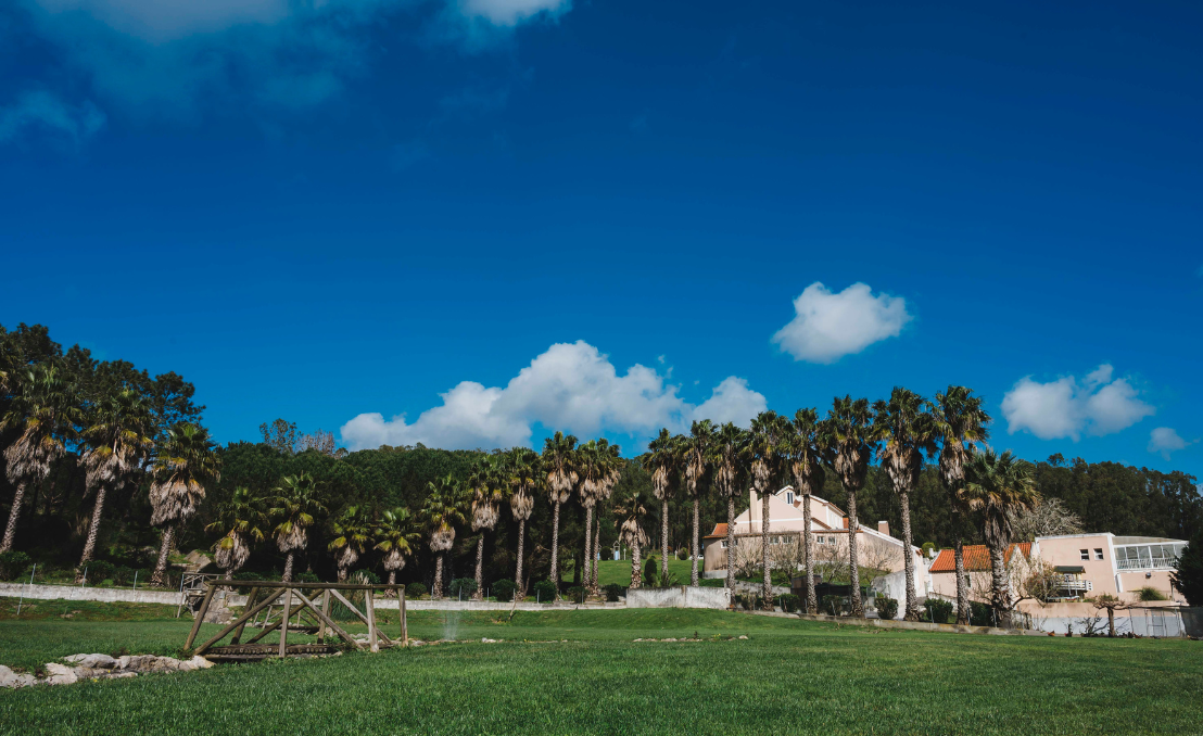 Wide view of Quinta da Carlota with gardens, palm trees and the main house under a clear blue sky