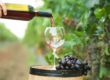Red wine being poured in a vineyard near Torres Vedras