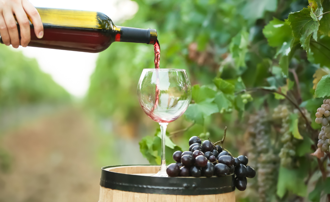 Vinho tinto a ser servido numa vinha perto de Torres Vedras
