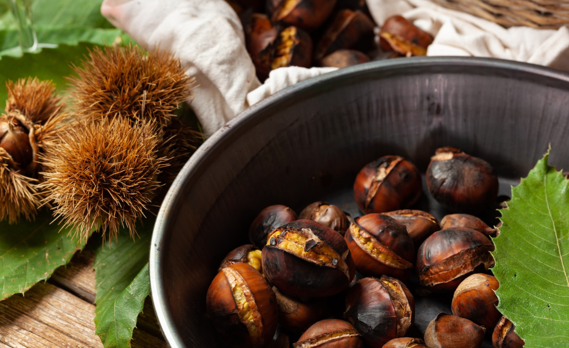Castanhas assadas com ouriços e folhas de castanheiro, tradição de São Martinho